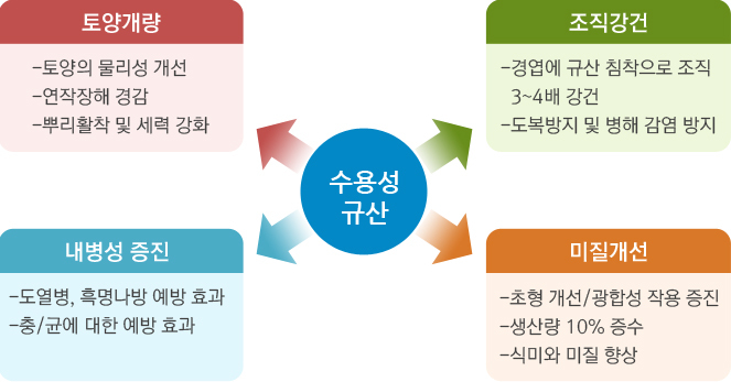 수용성 이온규산의 특성·효과