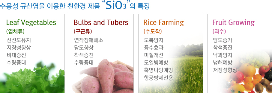 규산염